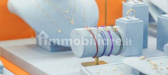 1-Zimmer Gewerbliche Immobilie in Lucca, Italy, Nr. 298199 4