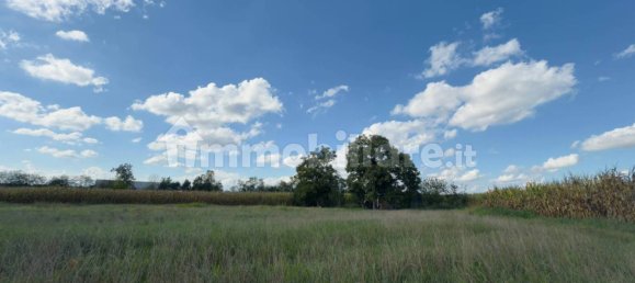 3810m² Land in Cuneo, Italy No. 338361 7