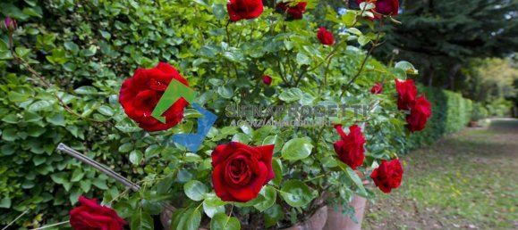 6 chambres Villa à Monteriggioni, Italy No. 213883 17