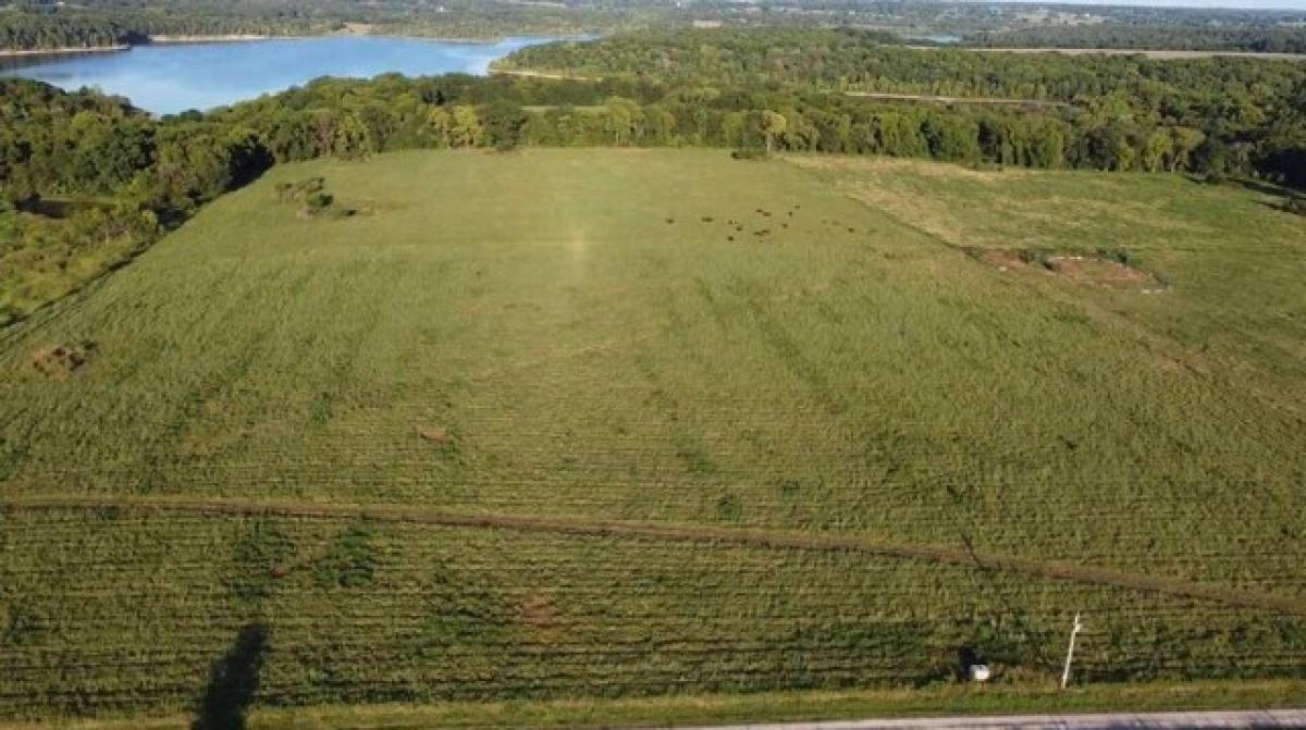  Land in Dadeville, USA No. 491145