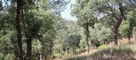 4 bedrooms House in Santa Margarida da Coutada, Portugal No. 18165 25