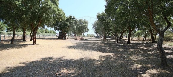 4 bedrooms House in Santa Margarida da Coutada, Portugal No. 18165 28