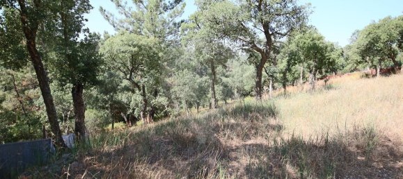 4 bedrooms House in Santa Margarida da Coutada, Portugal No. 18165 23