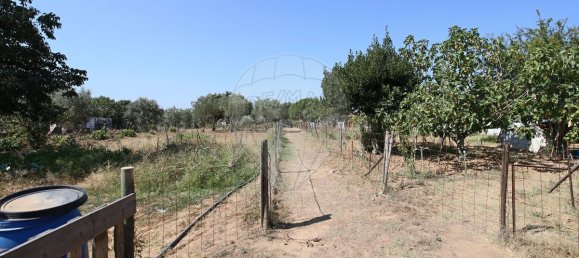 4 bedrooms House in Santa Margarida da Coutada, Portugal No. 18165 19