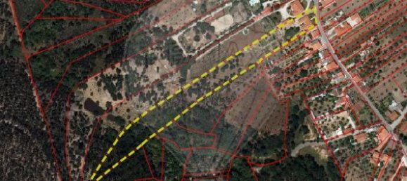 4 bedrooms House in Santa Margarida da Coutada, Portugal No. 18165 39