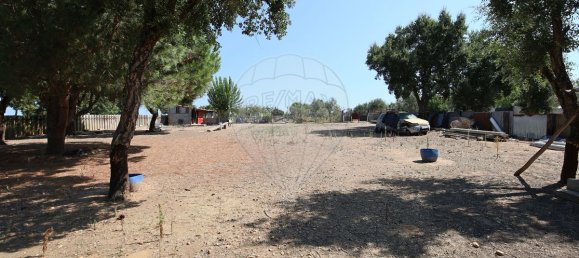 4 bedrooms House in Santa Margarida da Coutada, Portugal No. 18165 29