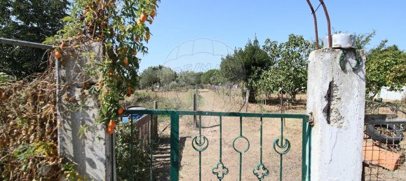 4 bedrooms House in Santa Margarida da Coutada, Portugal No. 18165 18