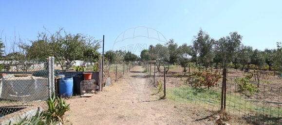 4 bedrooms House in Santa Margarida da Coutada, Portugal No. 18165 20