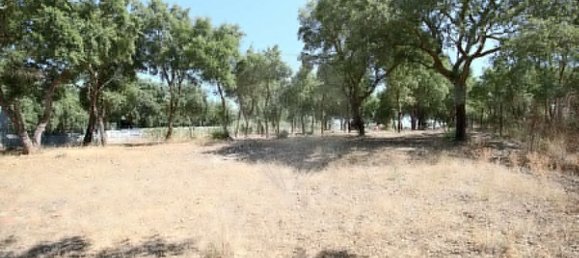 4 bedrooms House in Santa Margarida da Coutada, Portugal No. 18165 26