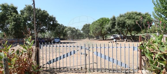 4 bedrooms House in Santa Margarida da Coutada, Portugal No. 18165 21