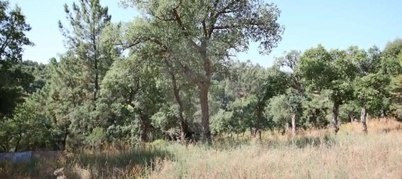 4 bedrooms House in Santa Margarida da Coutada, Portugal No. 18165 24