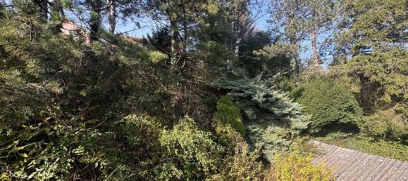  Land in Tulbing, Austria No. 4823 11