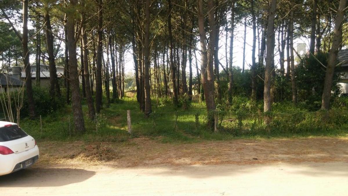  قطعة أرض في Mar del Plata, Argentina رقم 113387