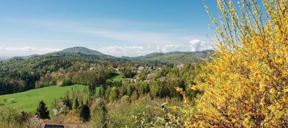 Земельный участок 1050м² в Штаттегг, Австрия № 167257 9