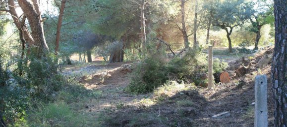  قطعة أرض في Benitachell, Spain 11600متر مربع رقم 144644 6