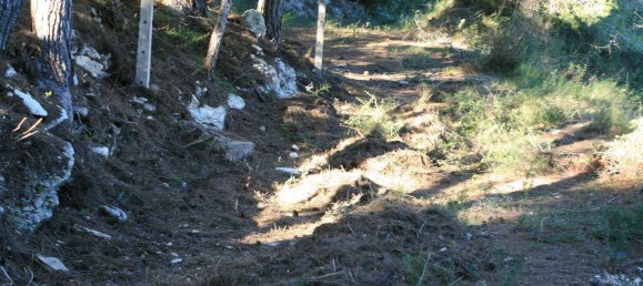  قطعة أرض في Benitachell, Spain 11600متر مربع رقم 144644 5