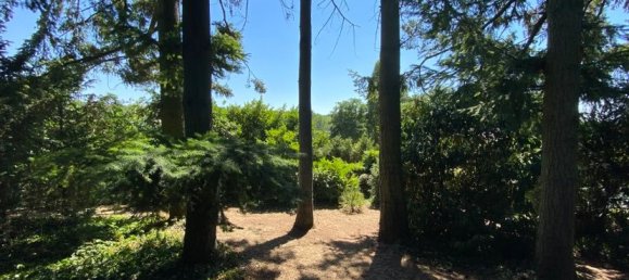 4 bedrooms House in Neuilly-Saint-Front, France No. 90858 3