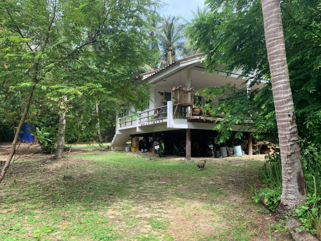 3 غرف نوم فيلا في Surat Thani, Thailand رقم 69918