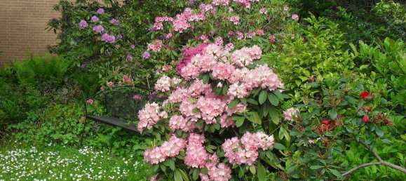 3 bedrooms Building in Gottingen, Germany No. 280824 44