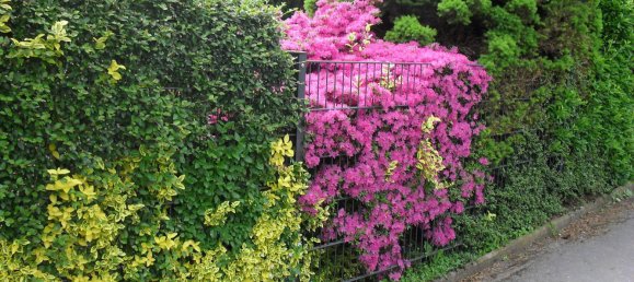 3 bedrooms Building in Gottingen, Germany No. 280824 43