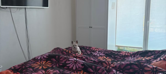 6 rooms Townhouse in Flensburg, Germany No. 364987 2