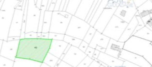 5غرفة فيلا في Magliano Alfieri, Italy رقم 269875 9