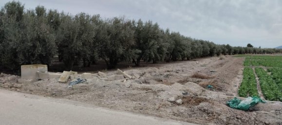  قطعة أرض في Lorca, Spain 8401متر مربع رقم 156205 2