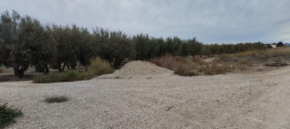  قطعة أرض في Lorca, Spain 8401متر مربع رقم 156205 7