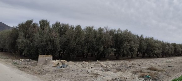  قطعة أرض في Lorca, Spain 8401متر مربع رقم 156205 4