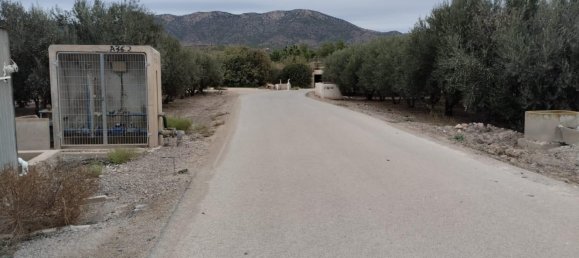  قطعة أرض في Lorca, Spain 8401متر مربع رقم 156205 6