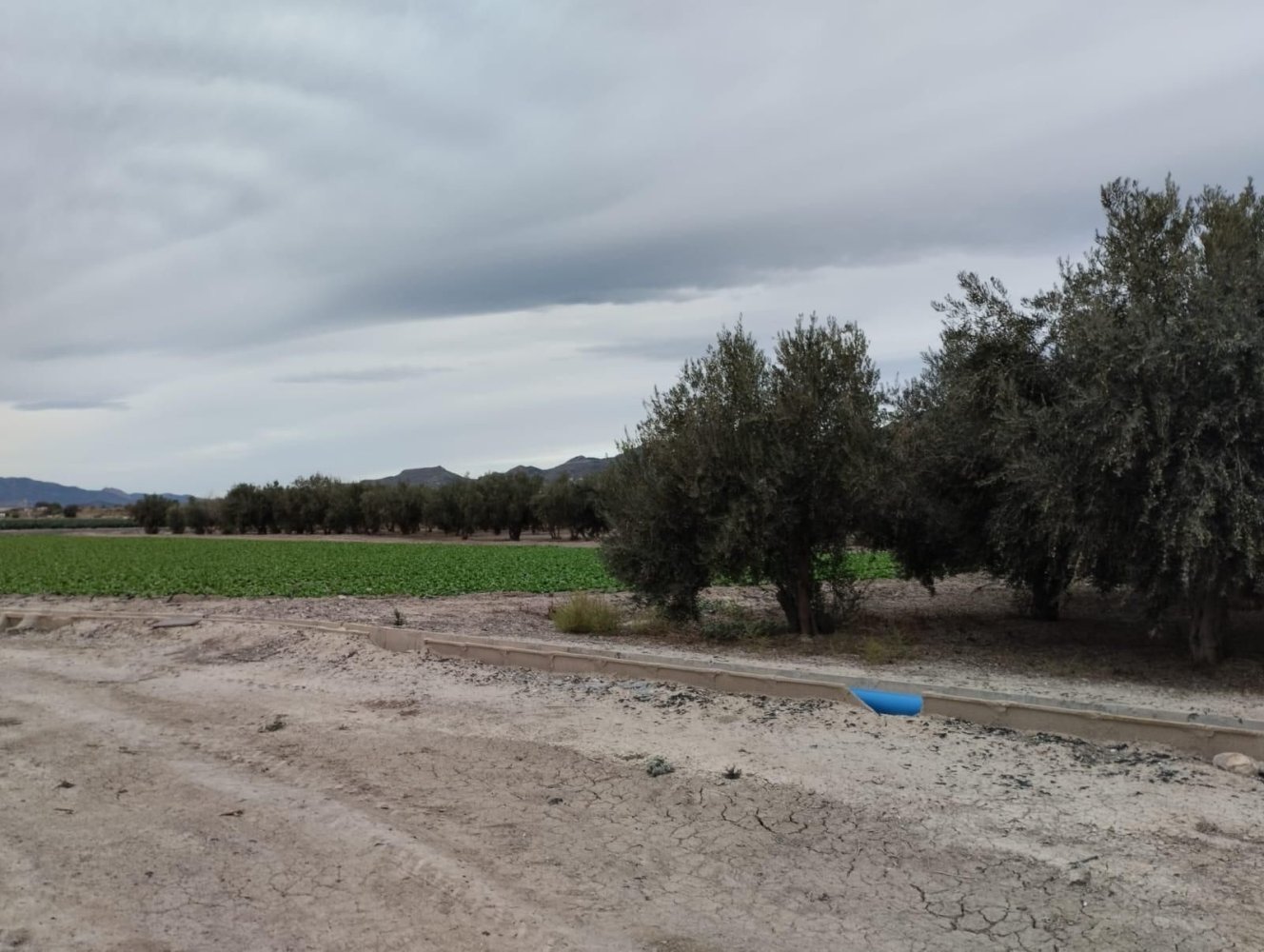  قطعة أرض في Lorca, Spain 8401متر مربع رقم 156205