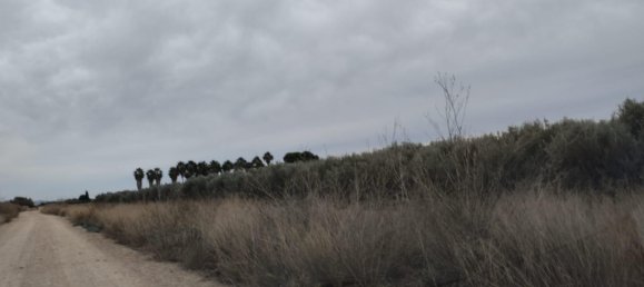  قطعة أرض في Lorca, Spain 8401متر مربع رقم 156205 3