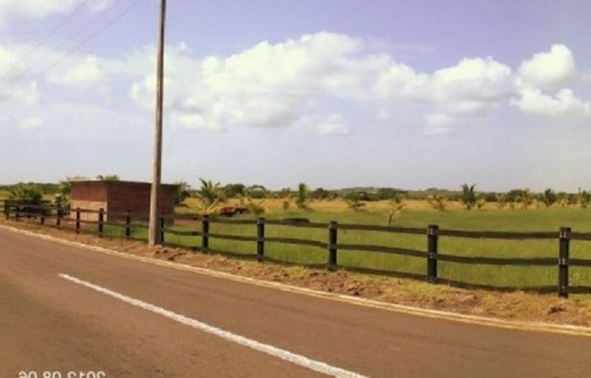  Land in Veracruz, Mexico No. 206989