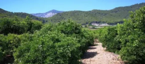 Casa de 2 dormitorios en València, Spain No. 135796 11