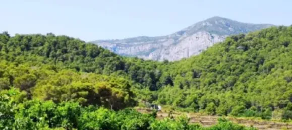 Casa de 2 dormitorios en València, Spain No. 135796 5