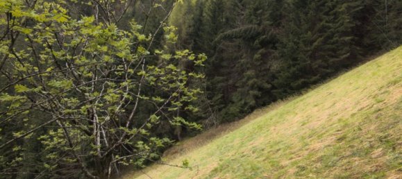 4 Schlafzimmer Haus in Ledro, Italy, Nr. 324224 10