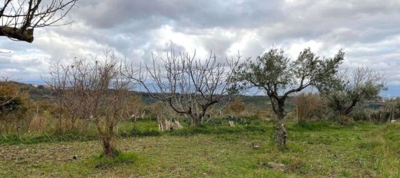 5 bedrooms House in Girifalco, Italy No. 203835 5