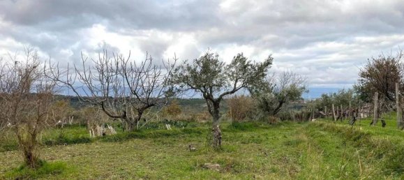 5 bedrooms House in Girifalco, Italy No. 203835 6