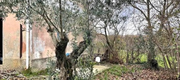 5 bedrooms House in Girifalco, Italy No. 203835 9