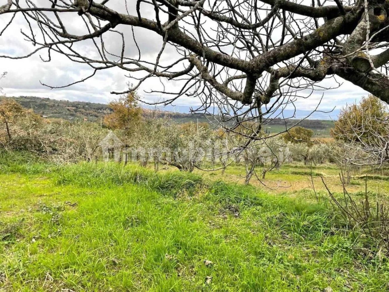 5 bedrooms House in Girifalco, Italy No. 203835