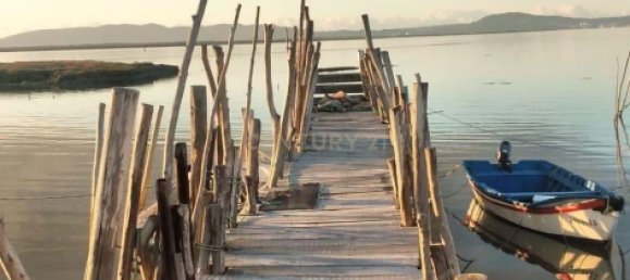 1 غرف نوم شقة في Alcacer do Sal, Portugal رقم 118901 44