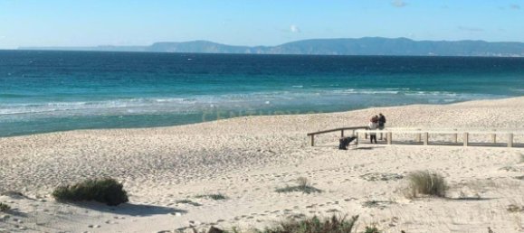 1 غرف نوم شقة في Alcacer do Sal, Portugal رقم 118901 33