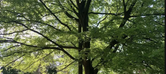  Land in Kladow, Germany No. 278347 4