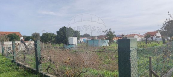 825m² Land in Torrao, Portugal No. 63653 4