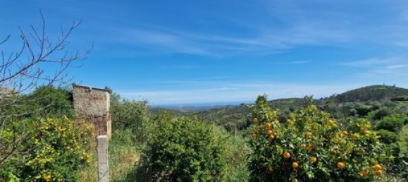3 غرف نوم منزل في Santa Catarina da Fonte do Bispo, Portugal رقم 151563 4