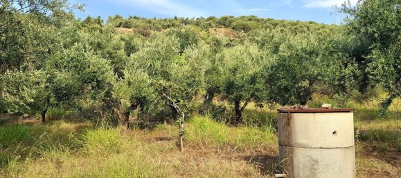  Land in Terme Vigliatore, Italy No. 375123 4