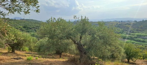  Land in Terme Vigliatore, Italy No. 375123 2