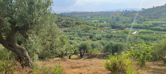  Land in Terme Vigliatore, Italy No. 375123 3