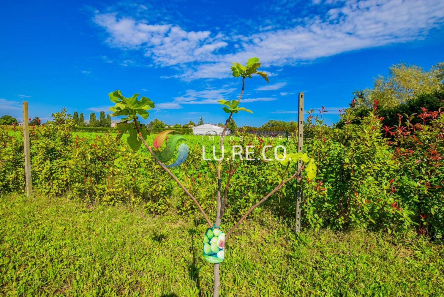 Terreno em Vimercate, Italy 3000 m² N.º 310261