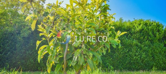 Terreno em Vimercate, Italy 3000 m² N.º 310261 11